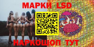 гидропоника Апшеронск