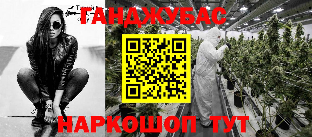 Каннабис сатива Берёзовский